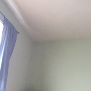 Meet your Posher, Peter